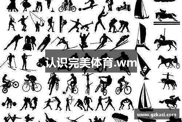 认识完美体育.wm